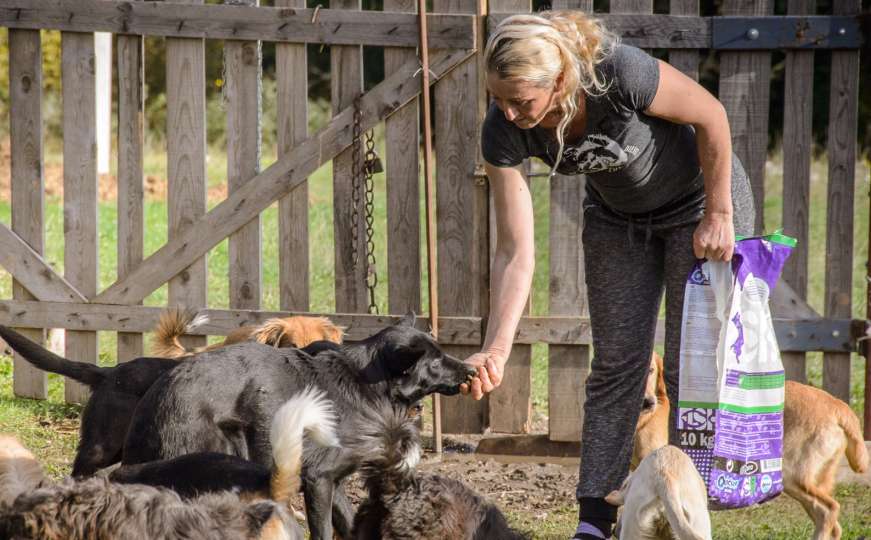 Ljubav prema životinjama: Napravila sklonište za napuštene pse i mačke
